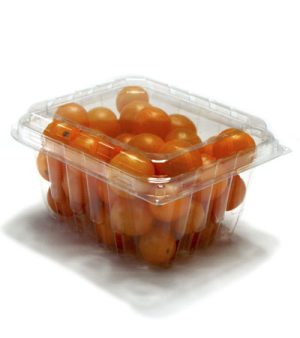 1 PINT APET CLAMSHELL 516/CS
